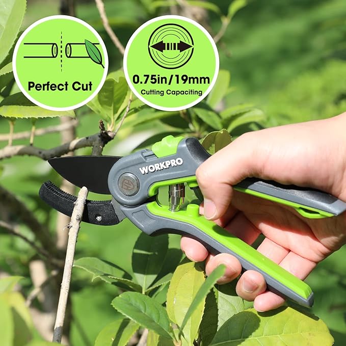 TrimMaster™ Ultra-Sharp Pruning Shears